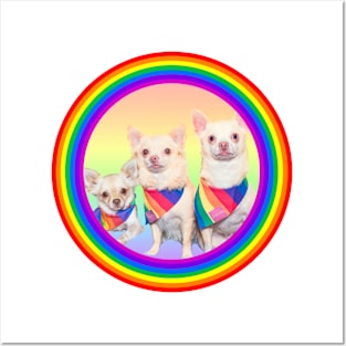 3 chihuahas Posters and Art